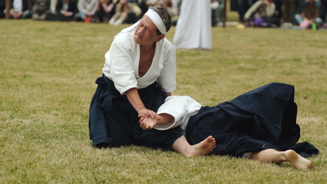 Meiji Shrine Budo Demonstration