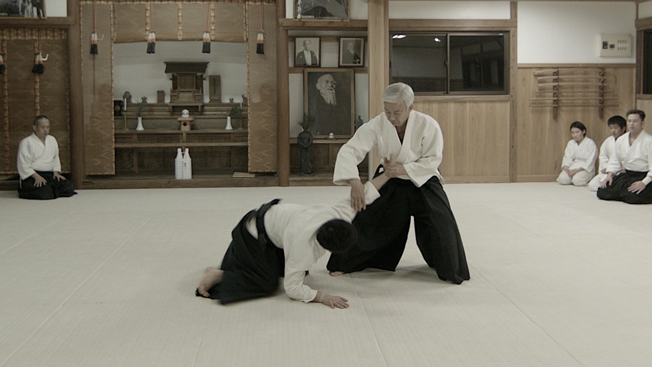 aikido-preview5