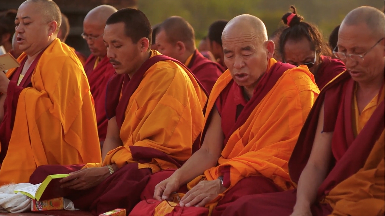 In the Footsteps of Buddha: Meditation