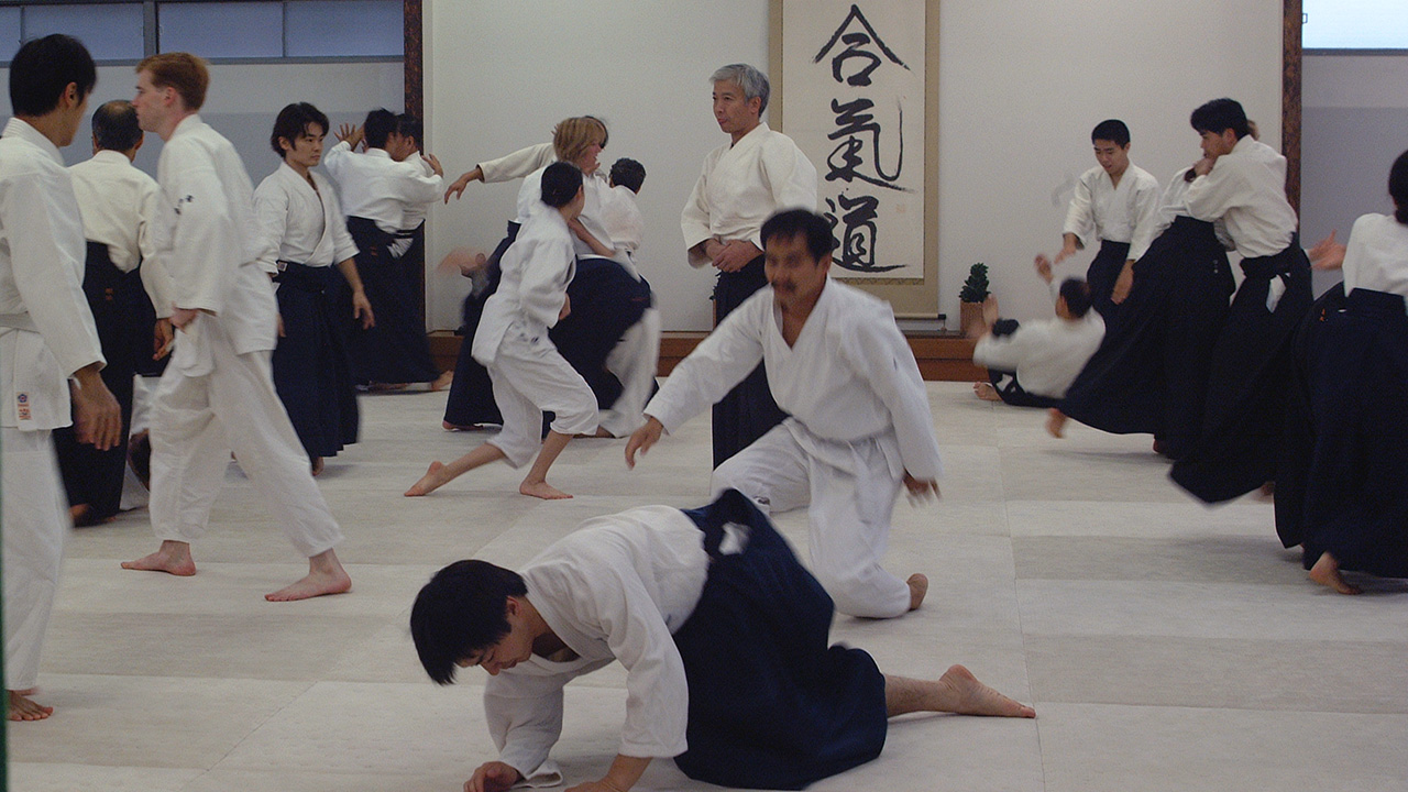 Aikido 2003