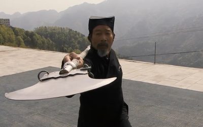 Is this Martial Art Video Genuine?