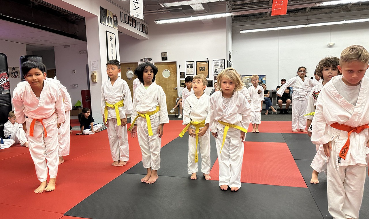 sobe karate